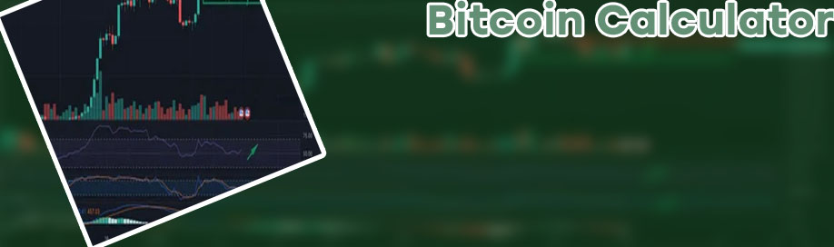 Bitcoin calculator future