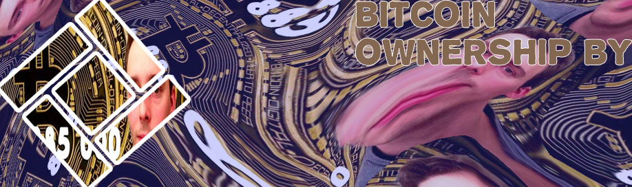 Bitcoin owners
