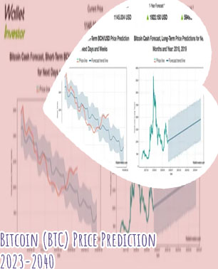 Long term bitcoin price prediction